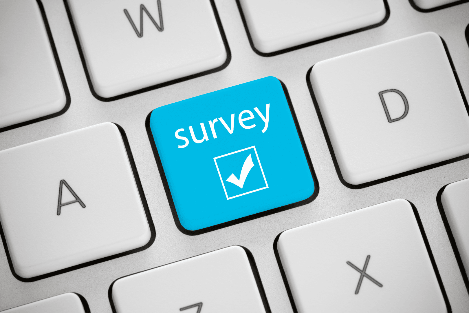 blue survey key on keyboard