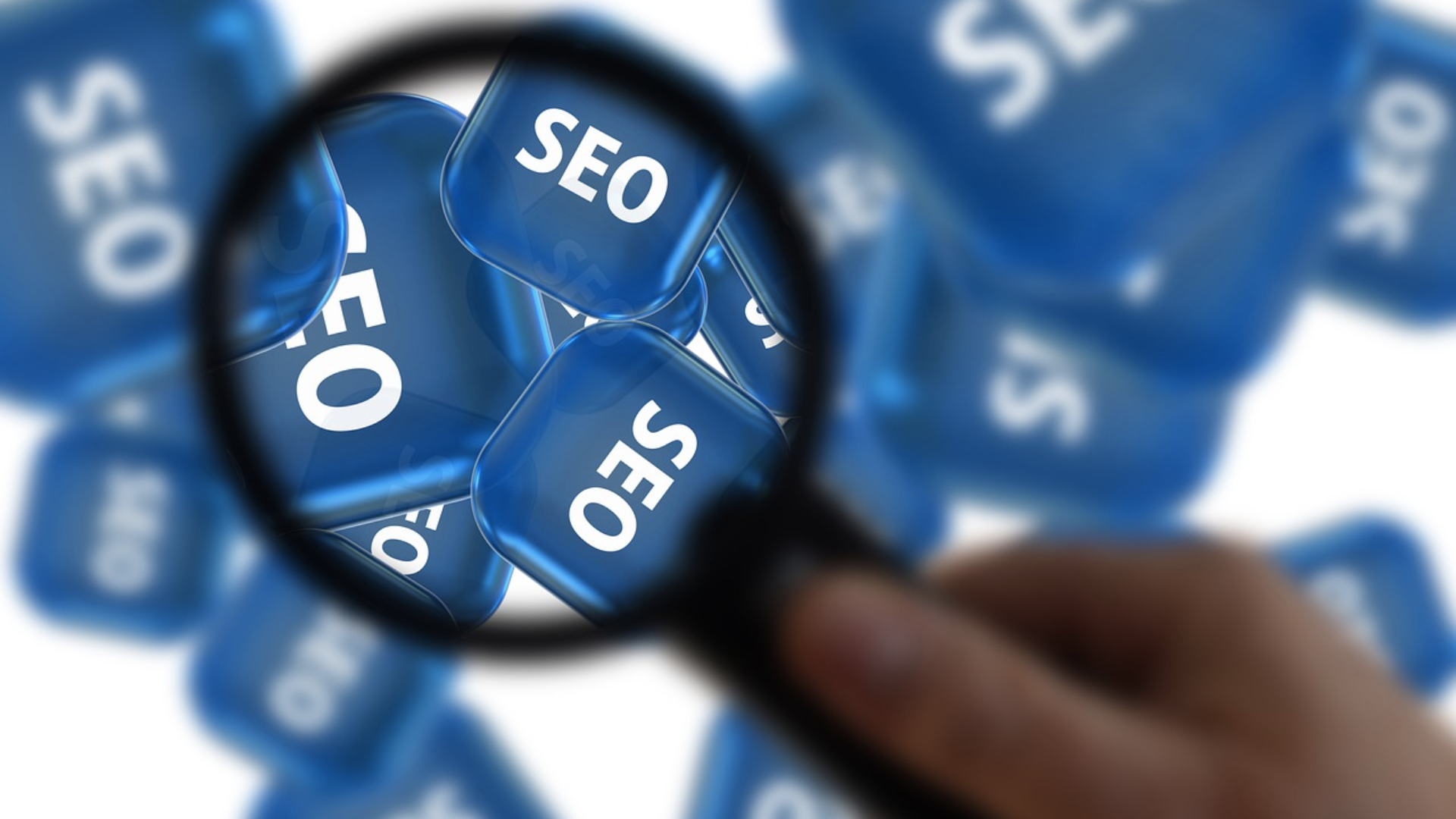 SEO LEADS