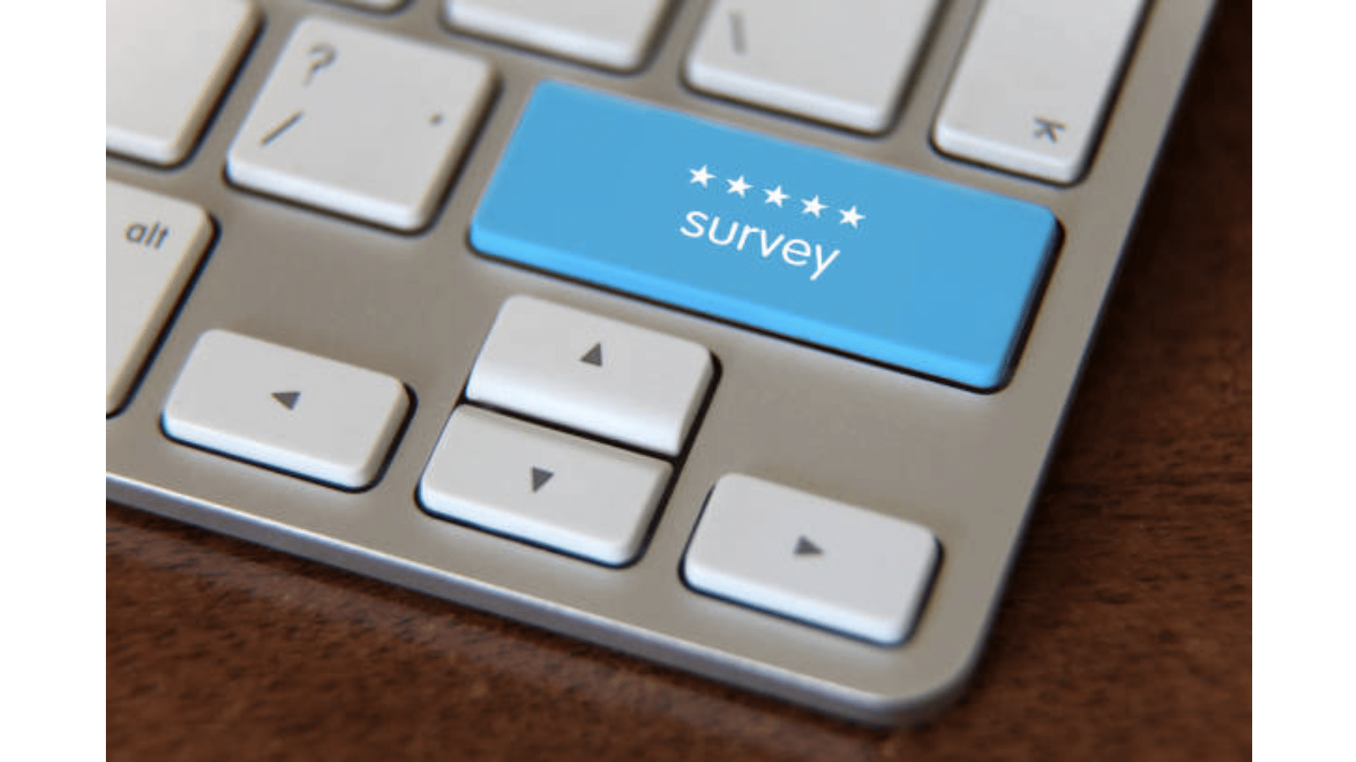 websites review